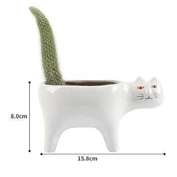 Amazon.co.jp: 気持ち悪い顔のネコ 白猫 陶器 観葉植物